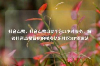 抖音点赞，抖音点赞自助平台24小时服务，解锁抖音点赞背后的秘密亿乐社区SUP货源站