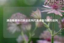 泽连斯基称已派出谈判代表准备与俄方谈判