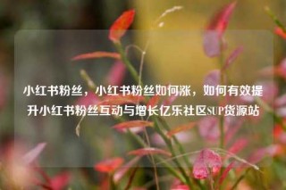 小红书粉丝，小红书粉丝如何涨，如何有效提升小红书粉丝互动与增长亿乐社区SUP货源站