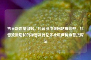 抖音涨流量网站，抖音涨流量网站有哪些，抖音流量增长的秘密武器亿乐社区低价自营货源站