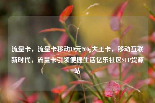 流量卡，流量卡移动19元200g大王卡，移动互联新时代	，流量卡引领便捷生活亿乐社区SUP货源站  第1张