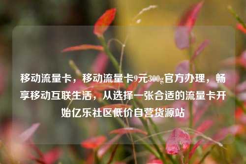 移动流量卡	，移动流量卡9元300g官方办理，畅享移动互联生活，从选择一张合适的流量卡开始亿乐社区低价自营货源站  第1张