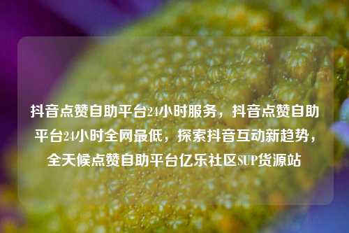 抖音点赞自助平台24小时服务，抖音点赞自助平台24小时全网最低，探索抖音互动新趋势	，全天候点赞自助平台亿乐社区SUP货源站  第1张