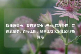 联通流量卡，联通流量卡19元200g官方办理，联通流量卡，连接无限，畅享无忧亿乐社区SUP货源站