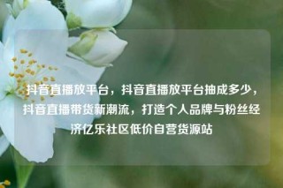 抖音直播放平台，抖音直播放平台抽成多少，抖音直播带货新潮流，打造个人品牌与粉丝经济亿乐社区低价自营货源站