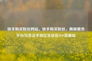 快手购买粉丝网站，快手购买粉丝，揭秘黑市平台与非法手段亿乐社区SUP货源站