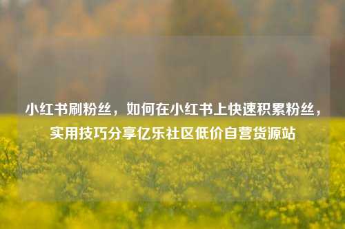 小红书刷粉丝，如何在小红书上快速积累粉丝，实用技巧分享亿乐社区低价自营货源站  第1张