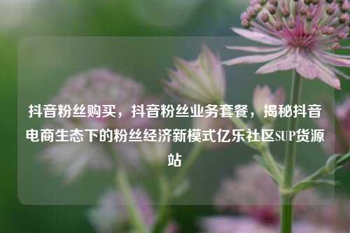 抖音粉丝购买，抖音粉丝业务套餐	，揭秘抖音电商生态下的粉丝经济新模式亿乐社区SUP货源站  第1张