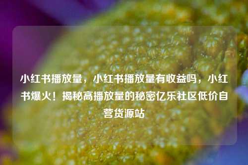 小红书播放量，小红书播放量有收益吗	，小红书爆火！揭秘高播放量的秘密亿乐社区低价自营货源站  第1张