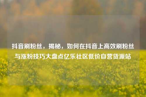 抖音刷粉丝	，揭秘，如何在抖音上高效刷粉丝与涨粉技巧大盘点亿乐社区低价自营货源站  第1张